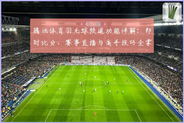 腾讯体育羽毛球频道功能详解：即时比分、赛事直播与高手技巧全掌握