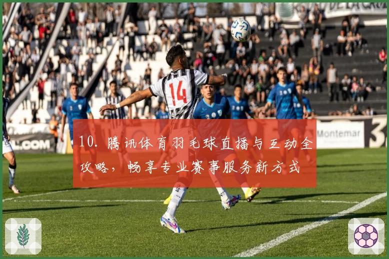 10. 腾讯体育羽毛球直播与互动全攻略，畅享专业赛事服务新方式